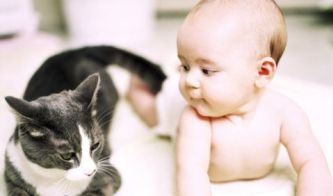 newborn baby and cat