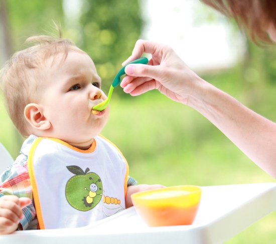recommended baby food organic or Inorganic
