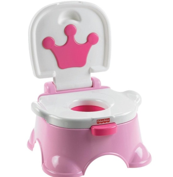 the right ways to potty train your twins