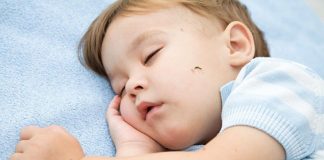 5 Ways to Protect Your Baby From Mosquito Bites
